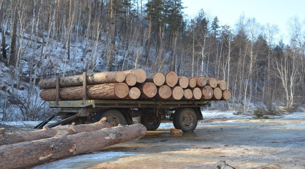 Хүрээлэн байгаа орчны эсрэг гэмт хэрэг 18.7 хувиар өсжээ